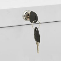 Archiefkast 90x46x164 cm staal lichtgrijs 8720286566114 11