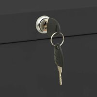 Archiefkast 90x46x134 cm staal antracietkleurig 8720286566091 11