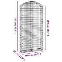 Schanskorf gewelfd 100x30x200/220 cm gegalvaniseerd ijzer 8720845650933 5