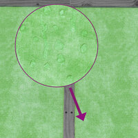 Tuinschuur 83x57x140 cm massief grenenhout grijs 8720845798154 7