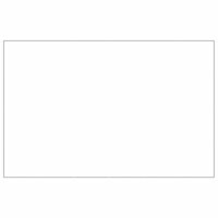 Hondenkennel 24 m&sup2; staal zilverkleurig 4