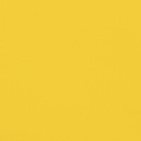 Fietstrailer 45 kg ijzer zwart en geel 12