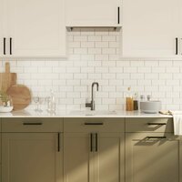 Handvatten 20 st 160 mm roestvrij staal zwart 4