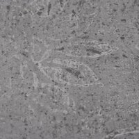 Vloerplanken zelfklevend 5,21 m&sup2; 2 mm PVC cementbruin 4