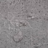 Vloerplanken zelfklevend 5,21 m&sup2; 2 mm PVC cementbruin 5