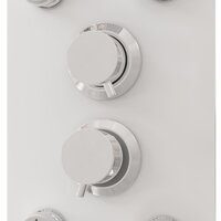 Douchepaneel 25x47,5x130 cm glas wit 6