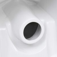 Toilet met afvoer achter keramiek wit 7