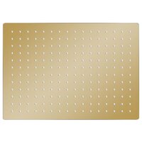 Regendouchekop rechthoekig 40x30 cm roestvrij staal goudkleurig 2