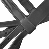 Hoofdstel leer met gecombineerde neusriem, teugels en bit zwart full 4