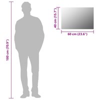 Wandspiegel rechthoekig 60x40 cm glas 9