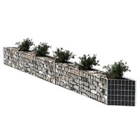 Gabion mand 300x30x50 cm gegalvaniseerd staal 3