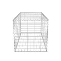 Gabion mand 100x50x50 cm gegalvaniseerd staal 5