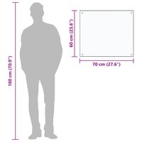 Spatscherm keuken 70x60 cm gehard glas transparant 7