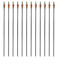 Pijlen compoundboog standaard 30&quot; 0,8 cm glasvezel 12 stuks 2
