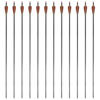 Pijlen voor recurveboog standaard 30&quot; 0,76 cm koolstof 12 stuks 4