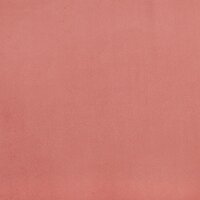 Sierkussens 2 st 40x40 cm fluweel roze 6