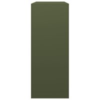 Haardhoutrek 100x40x100 cm staal groen 5