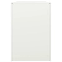 Haardhoutrek 100x40x60 cm staal wit 5