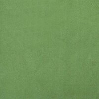 Eetkamerstoel fluweel lichtgroen 8