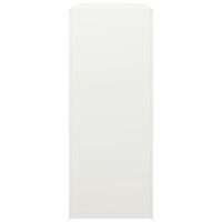 Haardhoutrek 100x40x100 cm staal wit 5