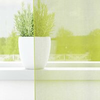 Gordijnen voile met roedezakken 2 st appelgroen 3