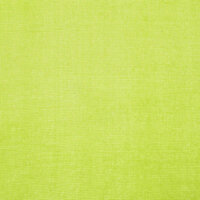 Gordijnen voile met roedezakken 2 st appelgroen 8