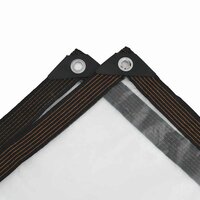 Doorzichtig zeildoek met zeilringen 2x6 m polyethyleen 6