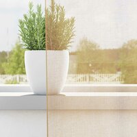 Gordijnen voile met roedezakken 2 st zand 3