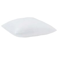 Kussens 2 pcs Wit 65 x 65 cm 85gsm 100% polyester 2