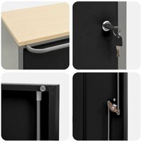 Gereedschapskast met wielen en slot 75x45x85 cm staal zwart 7