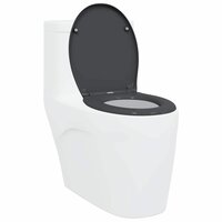 Toiletbril soft-close met quick-release Duroplast antraciet 2