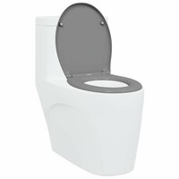 Toiletbril soft-close met quick-release Duroplast grijs 2