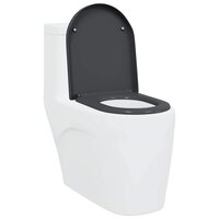Toiletbril soft-close met quick-release Duroplast antraciet 2