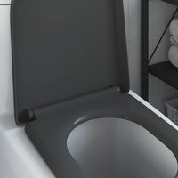 Toiletbril soft-close met quick-release Duroplast antraciet 3