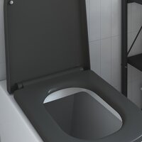 Toiletbril soft-close met quick-release Duroplast antraciet 3
