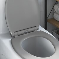 Toiletbril soft-close met quick-release Duroplast grijs 3