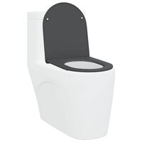 Toiletbril soft-close met quick-release Duroplast antraciet 2