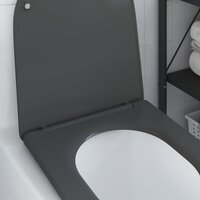 Toiletbril soft-close met quick-release Duroplast antraciet 3