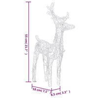 Kerstrendieren 2 st 80 LED&amp;apos;s acryl koudwit 7