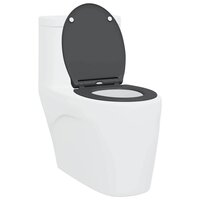 Toiletbril soft-close met quick-release Duroplast antraciet 2