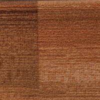 Trapmatten zelfklevend 5 st 65x21x4 cm bruin 7