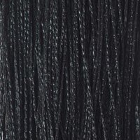 Draadgordijnen 2 st 100x250 cm zwart 9