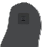 Wandspiegel 60x25 cm zilverkleurig 5