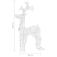 Kerstversiering rendier 90 LED&amp;apos;s 60x16x100 cm acryl 7