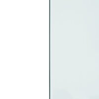 Glasplaat openhaard rechthoekig 100x60 cm 6