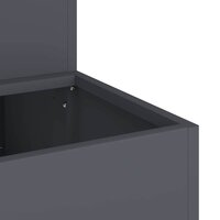 Tuin Bloempot Antraciet 100 x 60 x 45 cm Staal 9