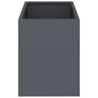 Tuin Bloempot Antraciet Koudgewalst staal 6
