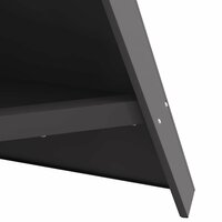 Vuurkorf Zwart 58 x 40 x 100 cm Koudgewalst staal 7