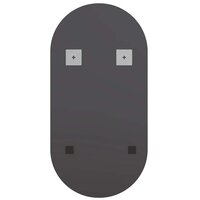 Spiegel met LED-verlichting 40x20 cm glas ovaal 6