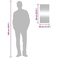 Wandspiegel 30x60 cm rechthoekig glas 7